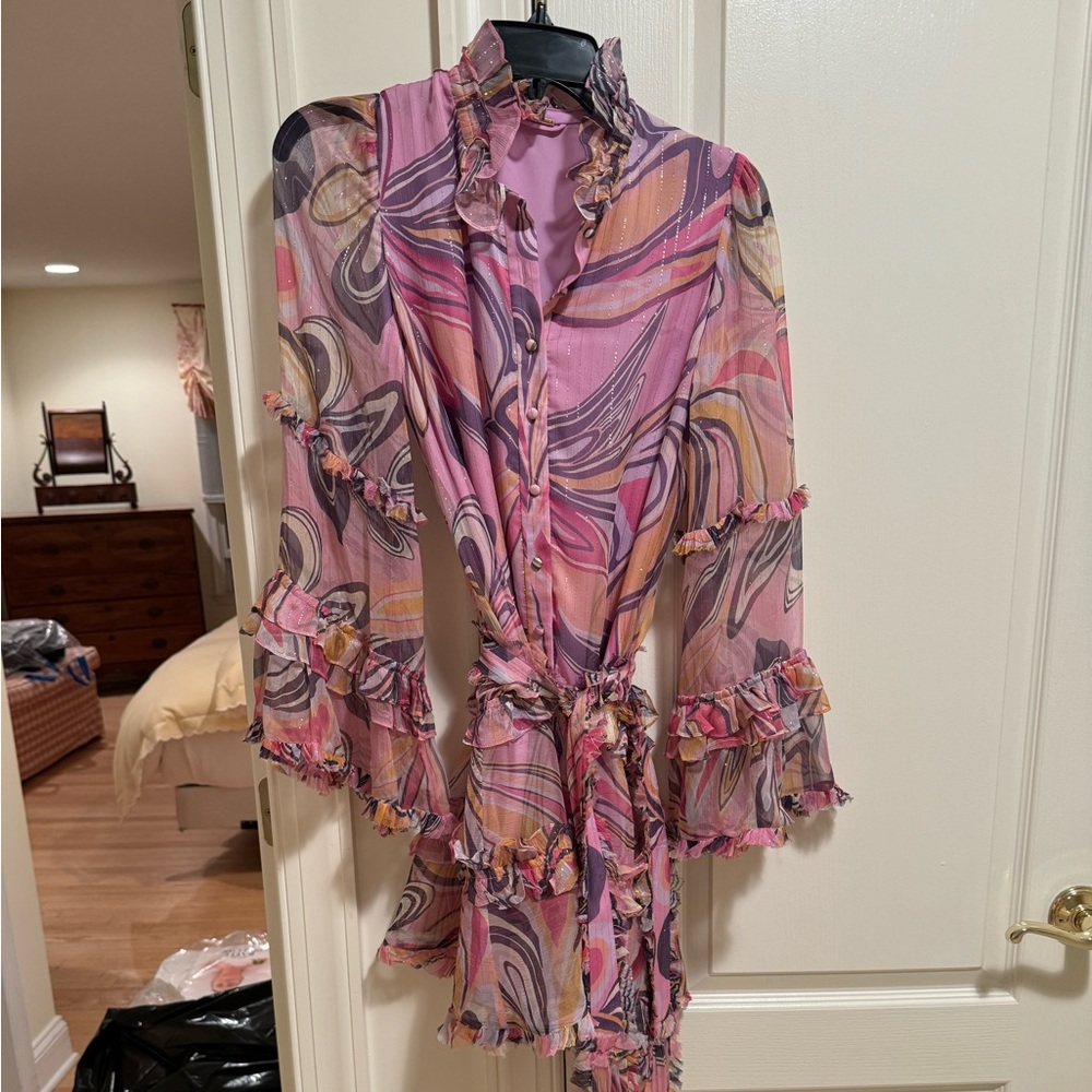 Alexis beautiful chiffon dress